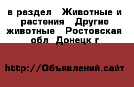  в раздел : Животные и растения » Другие животные . Ростовская обл.,Донецк г.